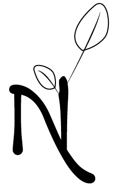 Naltia logo simplifié